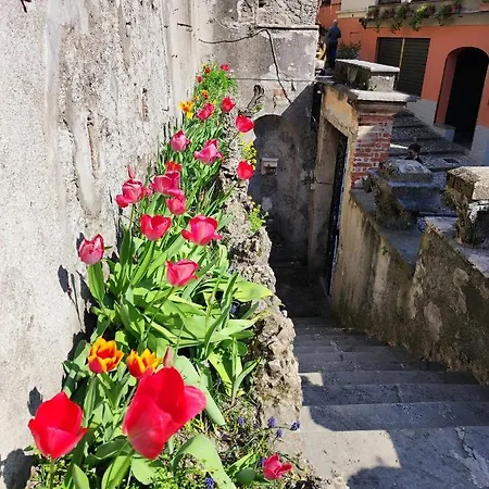 Apartmán Casa Carlo Bellagio