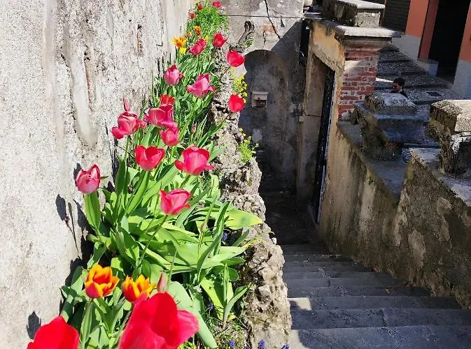 Apartamento Casa Carlo Bellagio